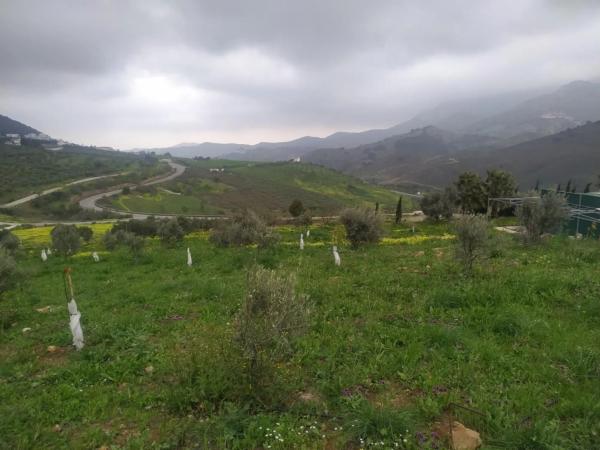 Terreno en A-7277 photo 1