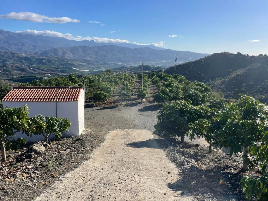 Terreno en venta en Vélez-Malaga, Malaga photo 2