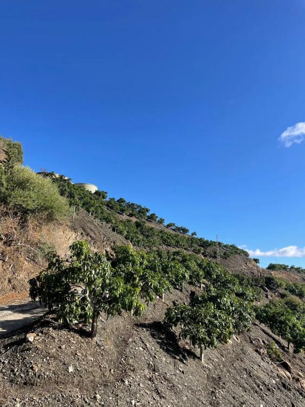 Terreno en venta en Vélez-Malaga, Malaga photo 5