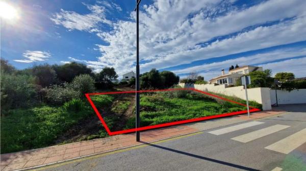 Terreno en calle Flaminio photo 4