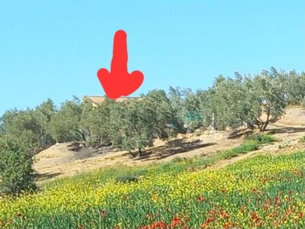 Terreno en Lugar Arroyo Coche, 33 thumbnail 2