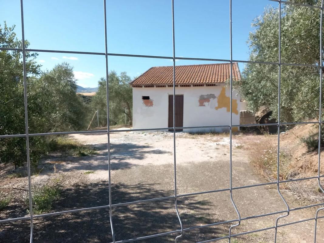 Участок земли на продажу в Алмогия, Малага photo 4