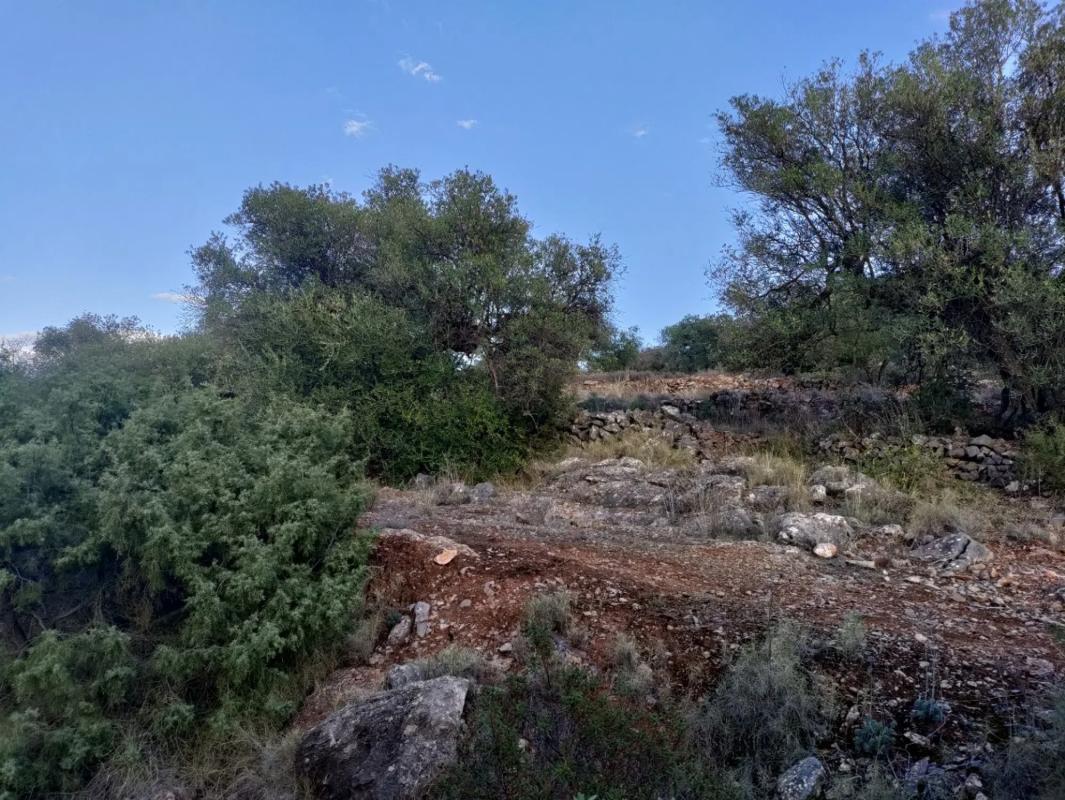 Terreno en venta en Alhaurín el Grande, Malaga photo 1