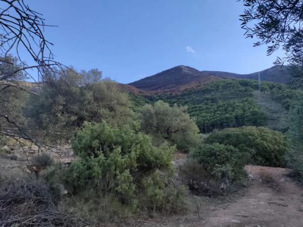 Terreno en carril de las chicharras s/n diseminado photo 2
