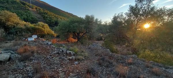 Terreno en carril de las chicharras s/n diseminado photo 3