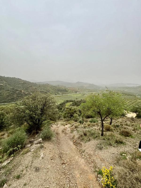 Terreno en venta en Coin, Malaga photo 3