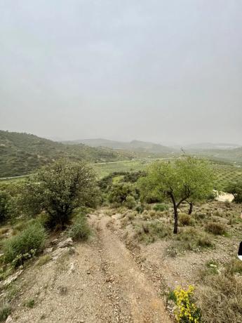 Terreno en Coin photo 3