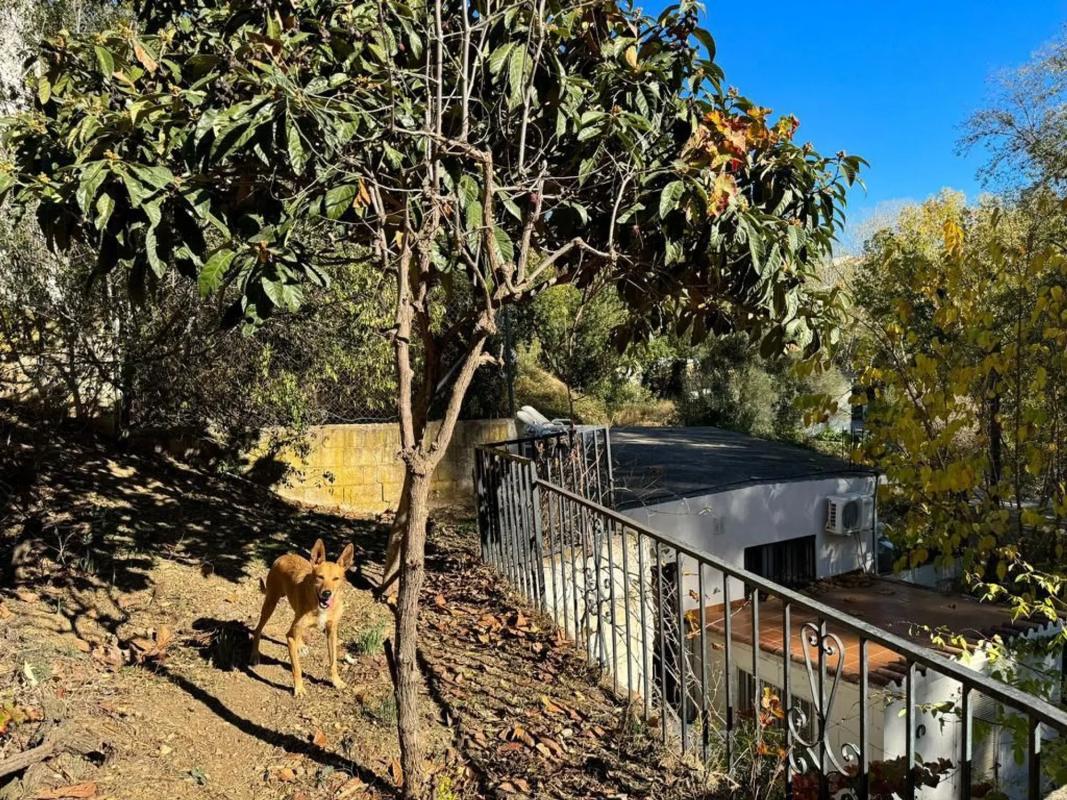 Terreno en venta en Marbella, Malaga photo 2