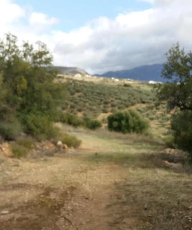 Terreno en venta en Periana, Malaga photo 2