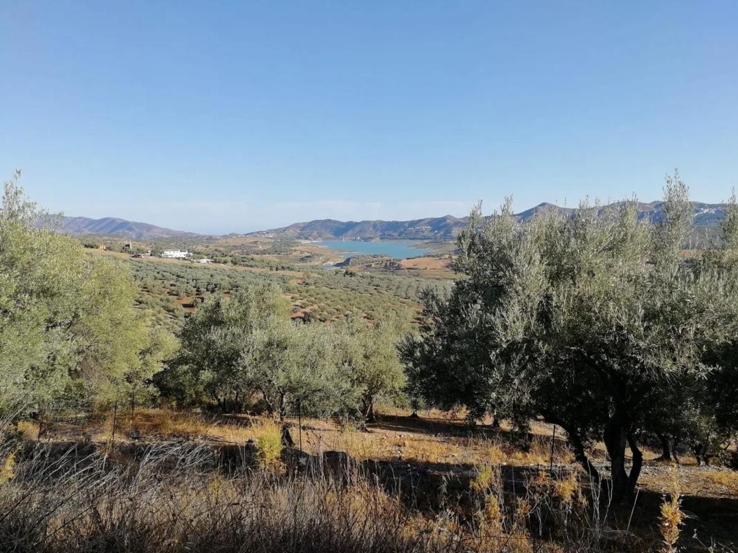 Terreno en venta en Periana, Malaga photo 4