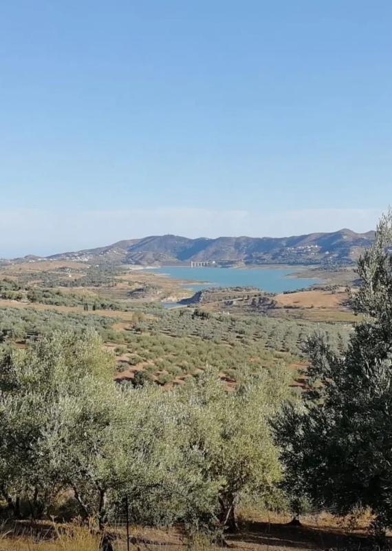 Terreno en venta en Periana, Malaga photo 5