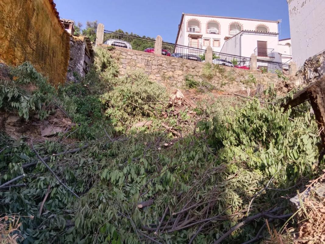 Land for sale in Benarrabá, Malaga photo 4
