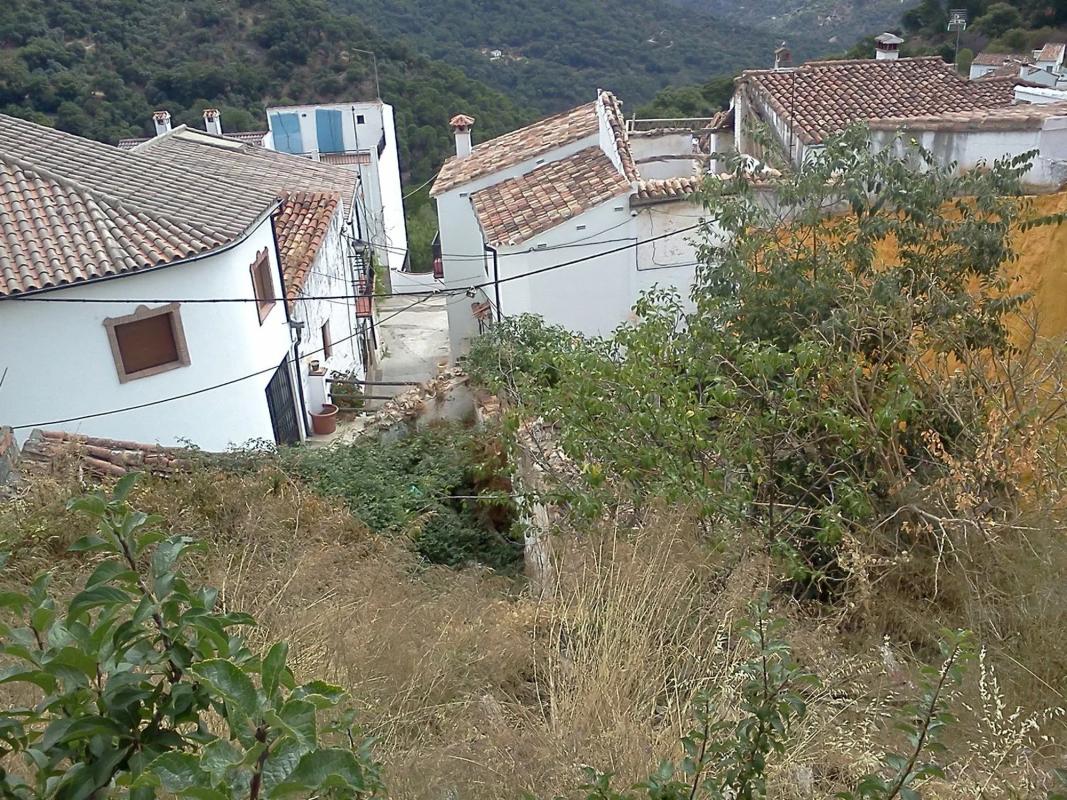 Land for sale in Benarrabá, Malaga photo 5
