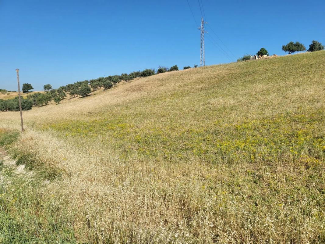 Land for sale in Alhaurín de la Torre, Malaga photo 2