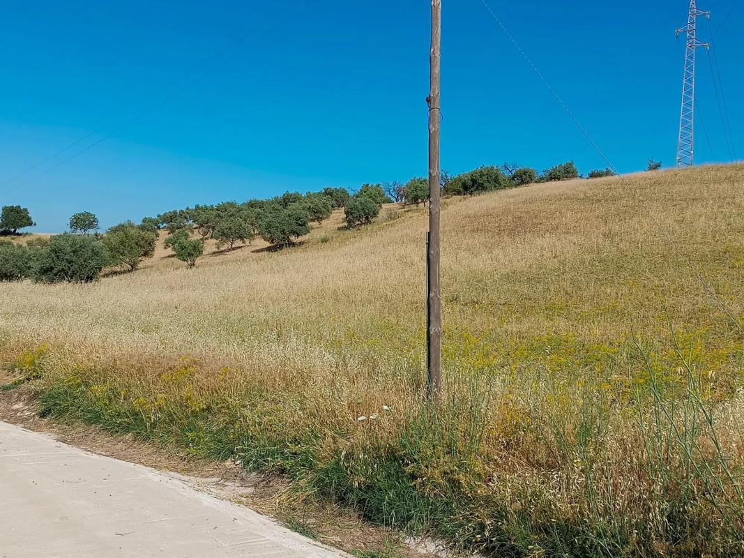 Land for sale in Alhaurín de la Torre, Malaga photo 3