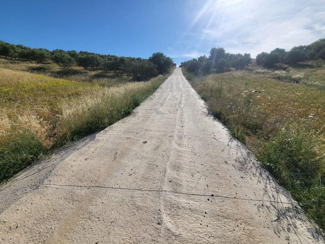 Land for sale in Alhaurín de la Torre, Malaga photo 5