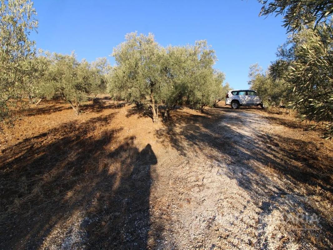Terreno en venta en Coin, Malaga photo 3