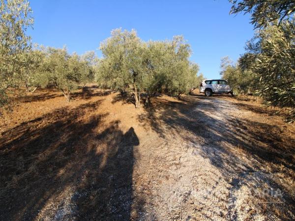 Terreno en Coin photo 3