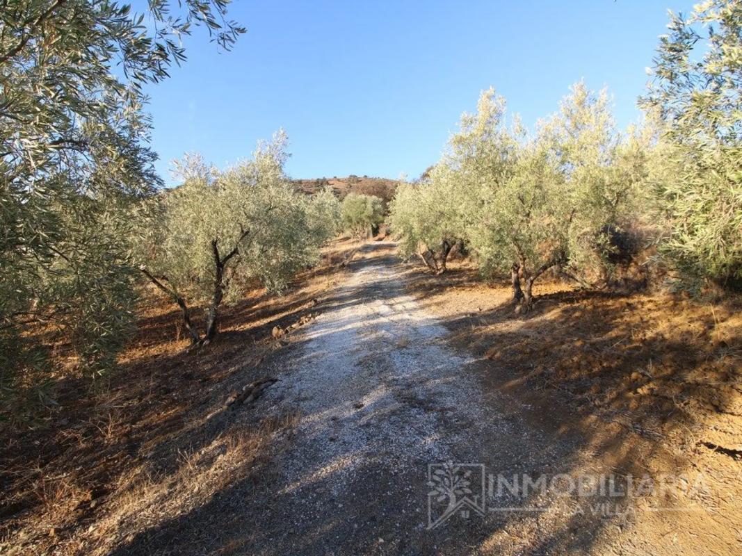 Terreno en venta en Coin, Malaga photo 4