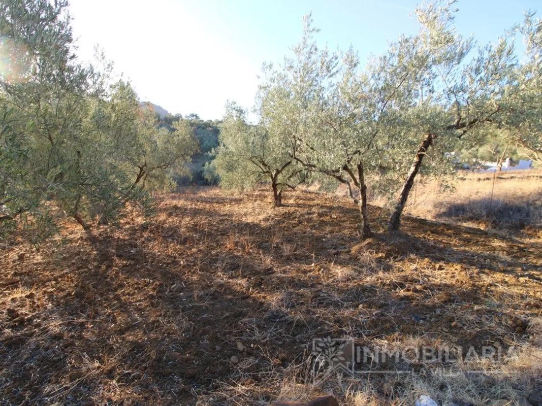 Terreno en venta en Coin, Malaga photo 5