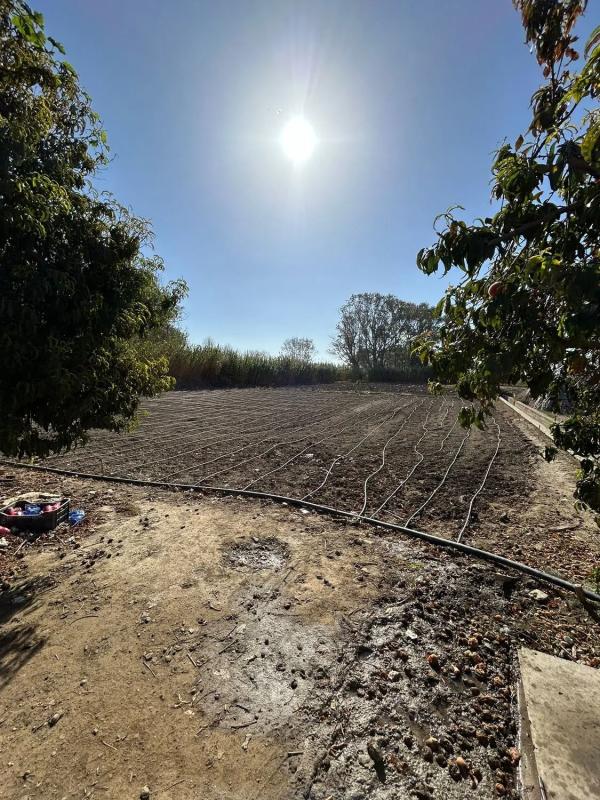 Terreno en venta en Almayate Bajo, Malaga photo 2