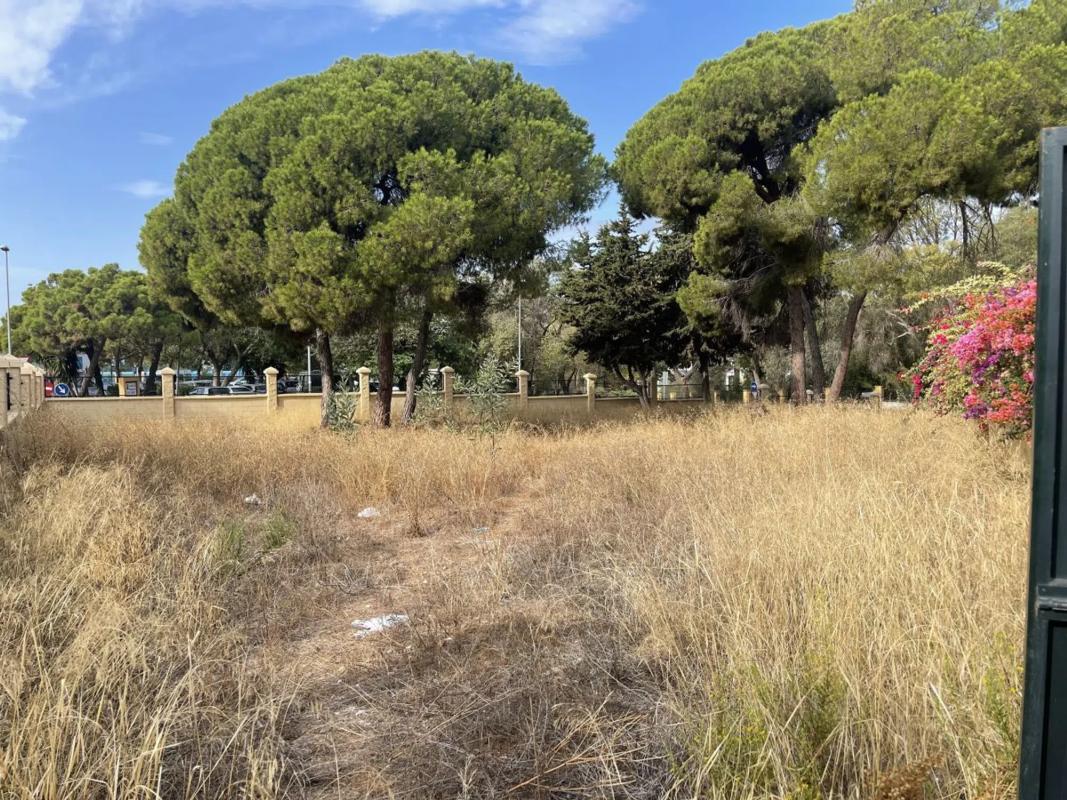 Terreno en venta en Marbella, Malaga photo 5