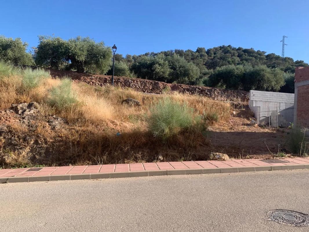Land for sale in Casabermeja, Malaga photo 4
