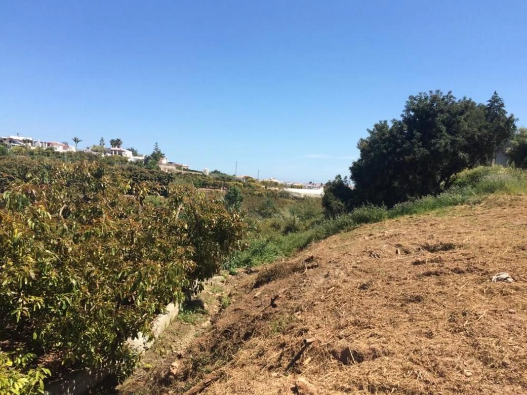 Terreno en venta en Frigiliana, Malaga photo 2