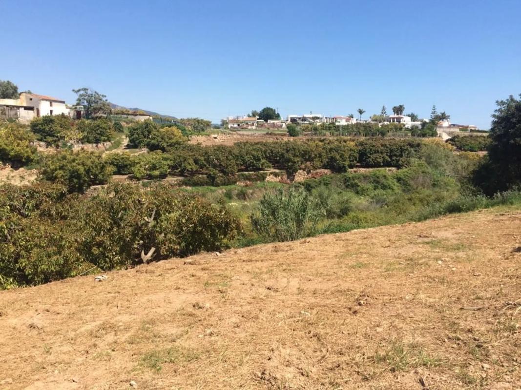 Terreno en venta en Frigiliana, Malaga photo 5