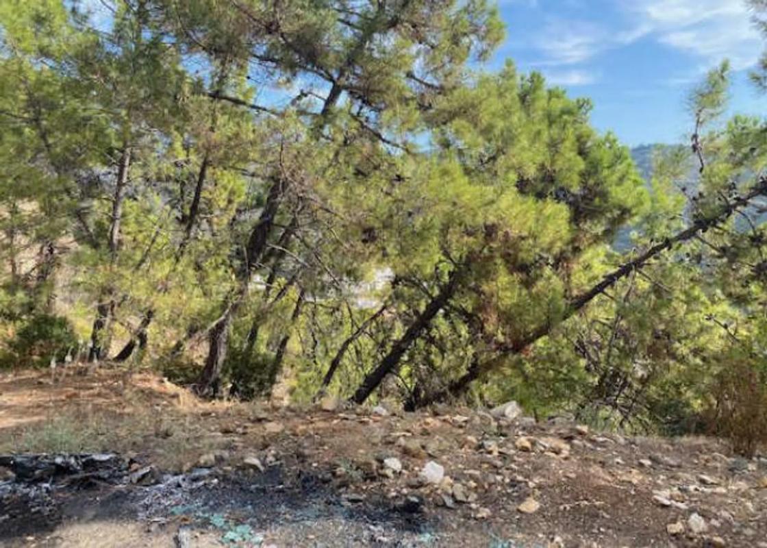 Terreno en venta en Benahavís, Malaga photo 4