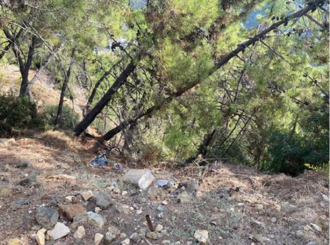 Terreno en venta en Benahavís, Malaga photo 5