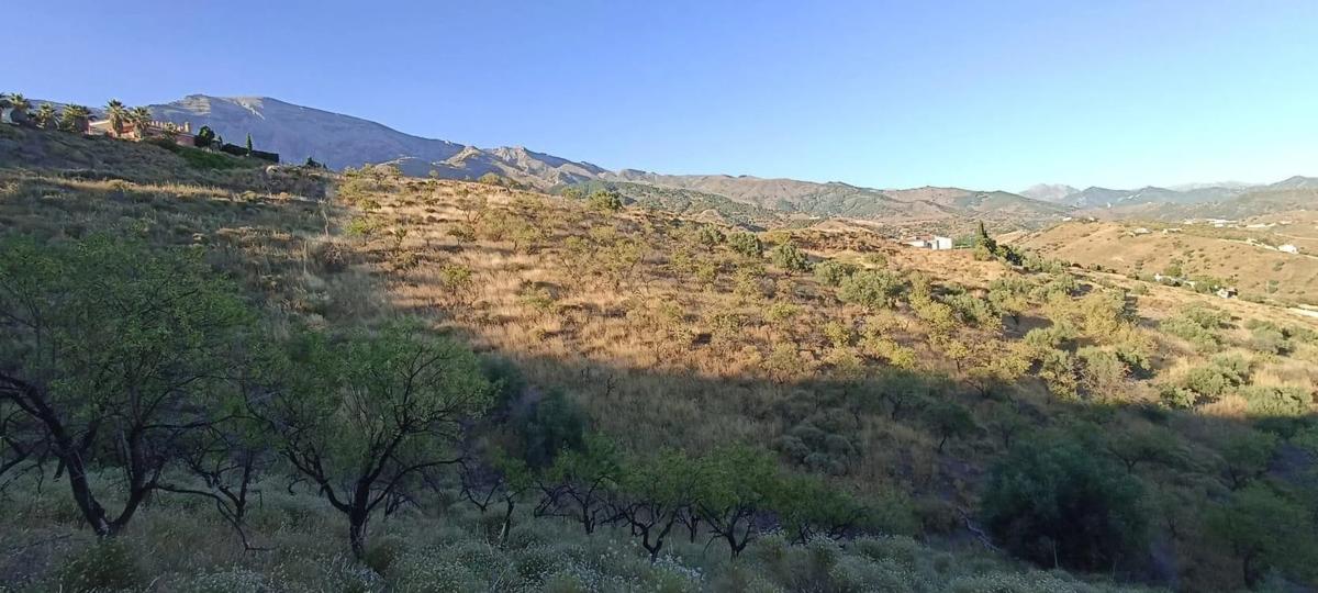 Terreno en venta en Sedella, Malaga photo 1