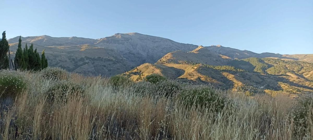 Terreno en venta en Sedella, Malaga photo 4