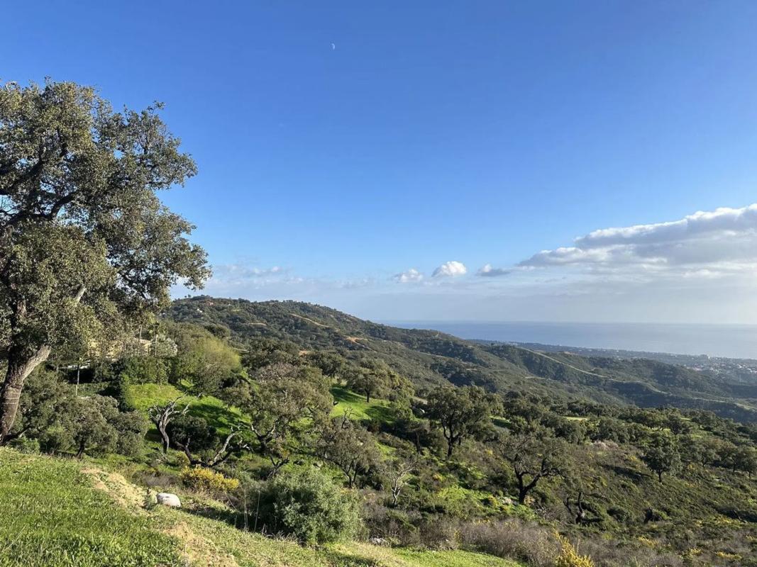 Terreno en venta en Marbella, Malaga photo 1