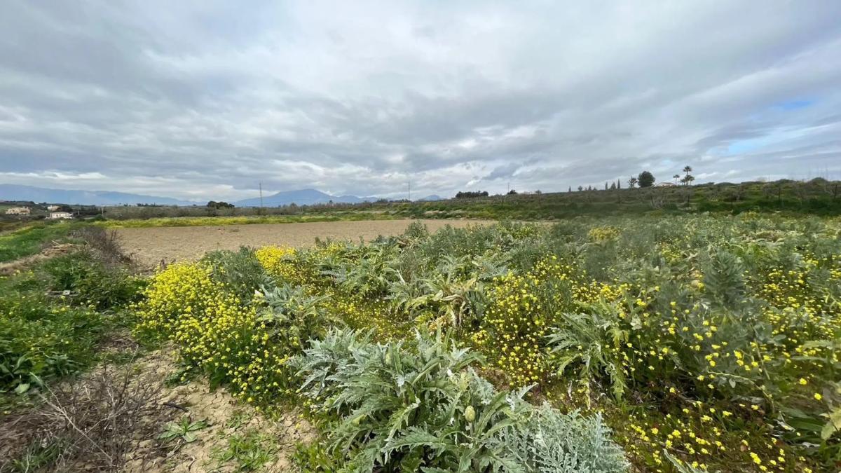 Terreno en venta en Alhaurín el Grande, Malaga photo 1