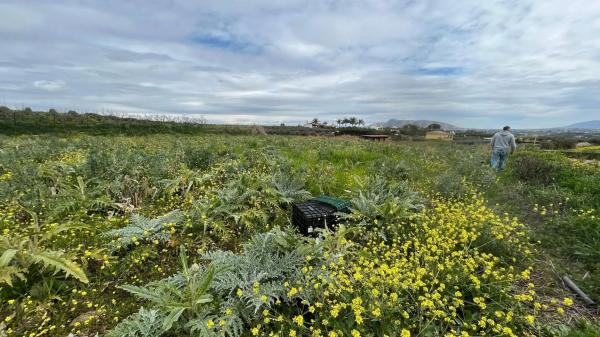 Terreno en carretera de Antequera s/n photo 3