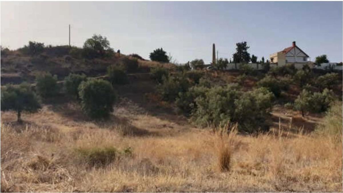 Terreno en venta en Rincón de la Victoria, Malaga photo 4