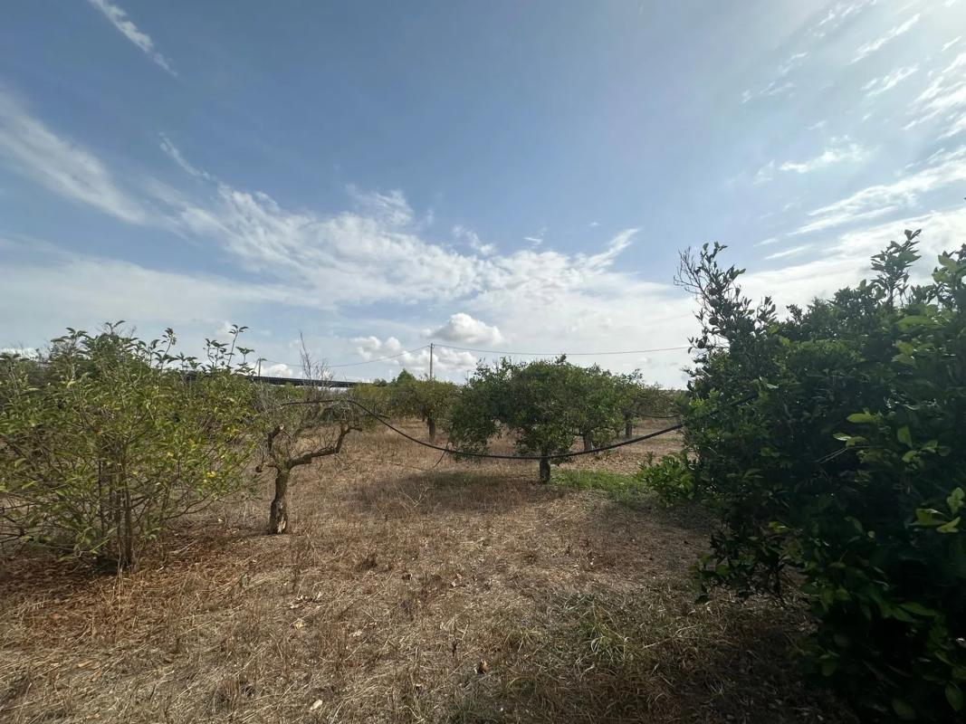 Участок земли на продажу в Алхаурин-эль-Гранде, Малага photo 2