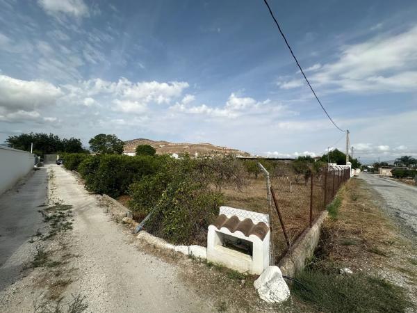 Terreno en camino de la Dehesa Baja s/n photo 3