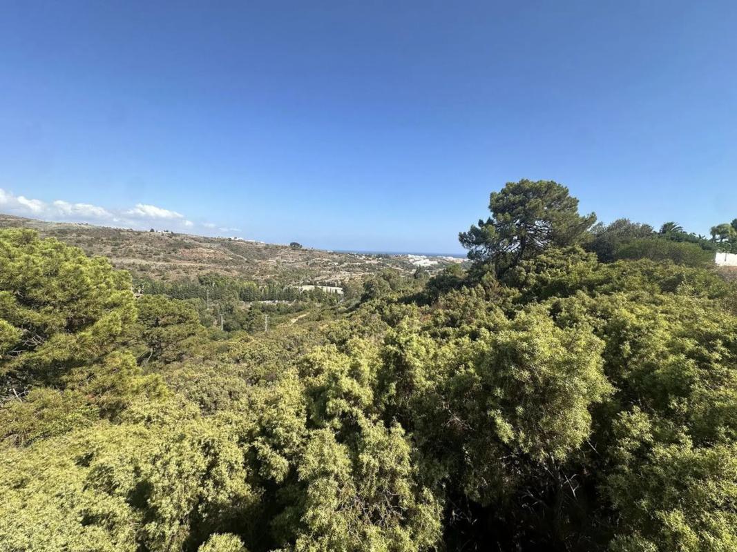 Terreno en venta en Benahavís, Malaga photo 3