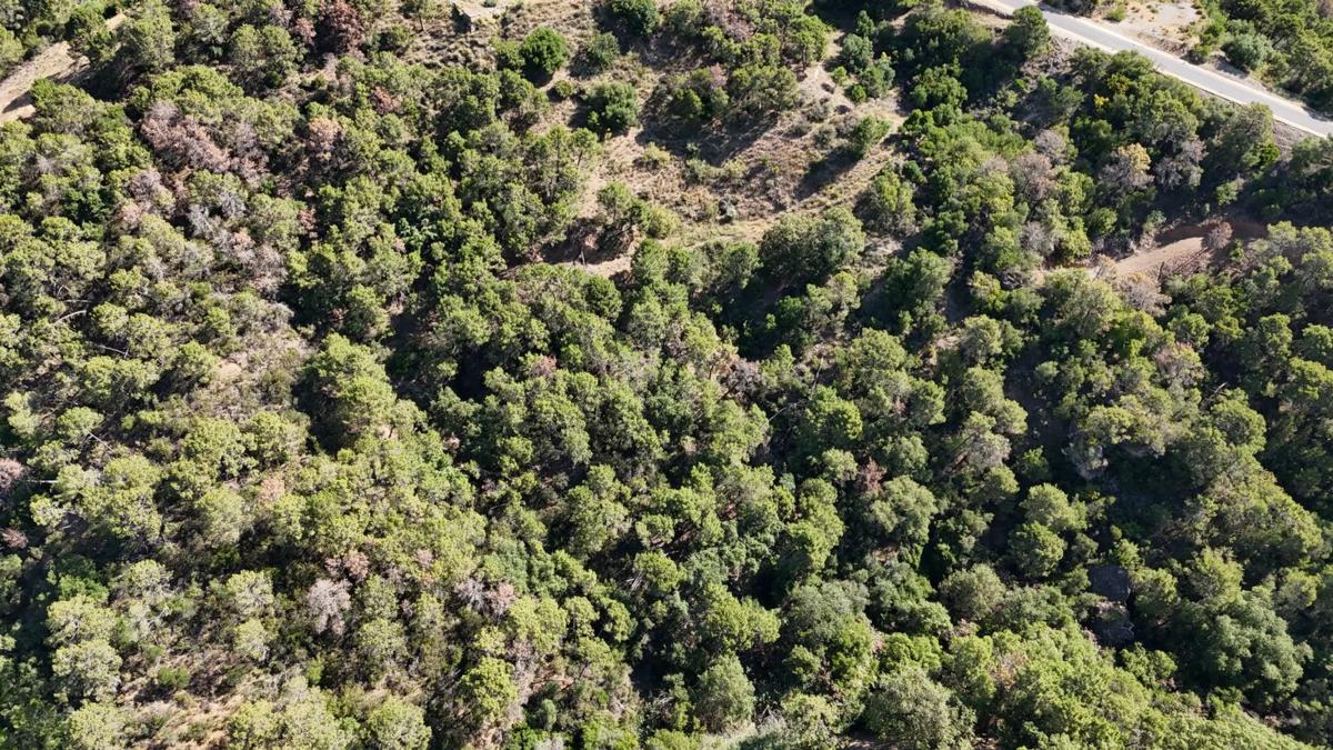 Terreno en venta en Benahavís, Malaga photo 3