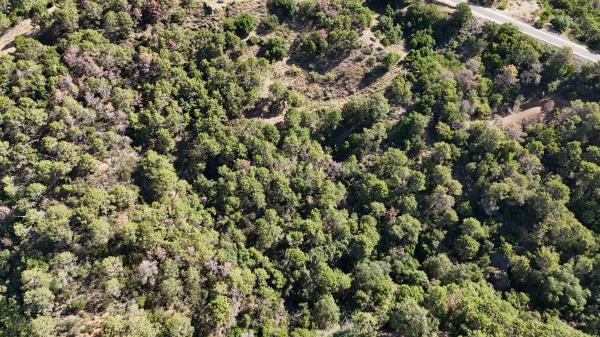 Terreno en via Brijan thumbnail 2