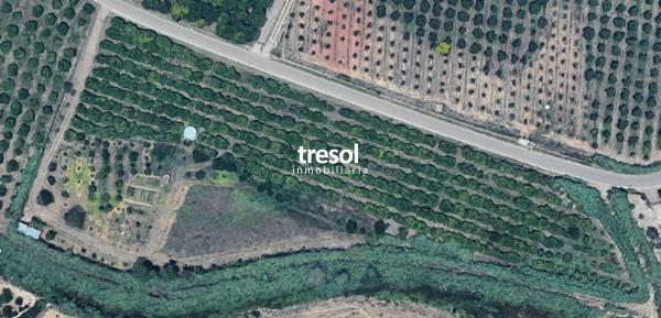 Terreno en El Romeral-Peñón de Zapata photo 1
