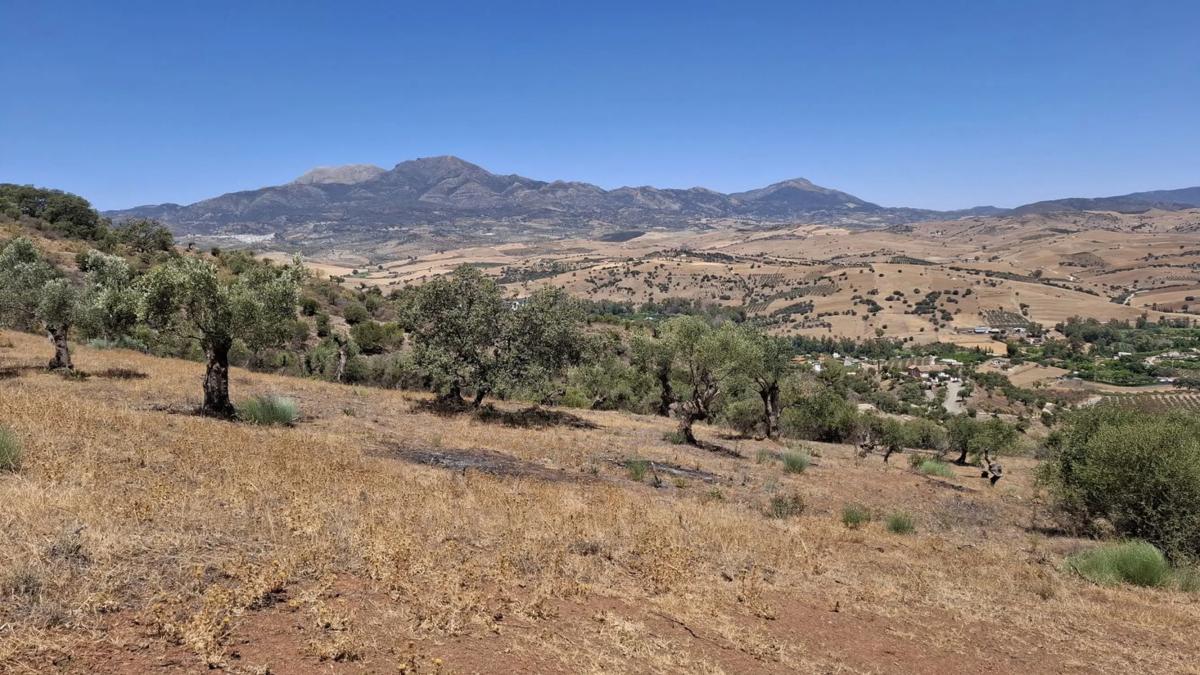 Land for sale in Coin, Malaga photo 3