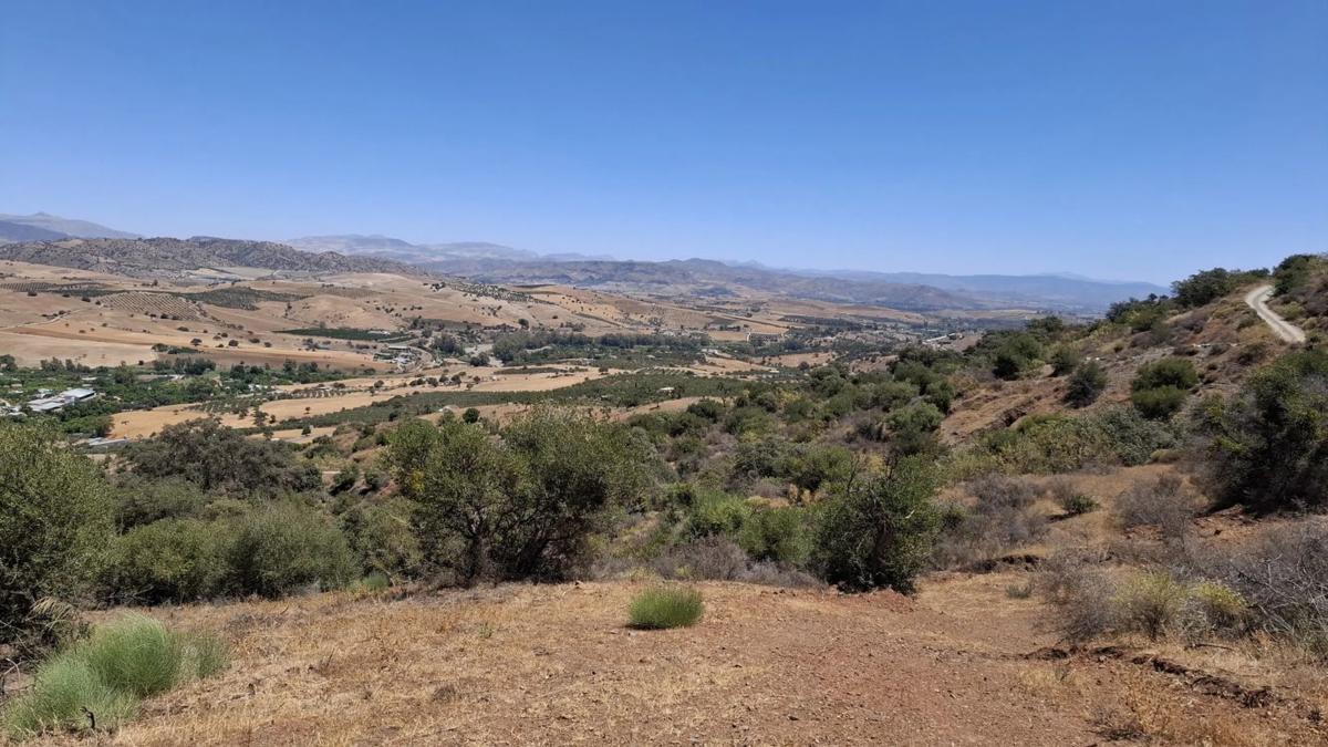 Land for sale in Coin, Malaga photo 4