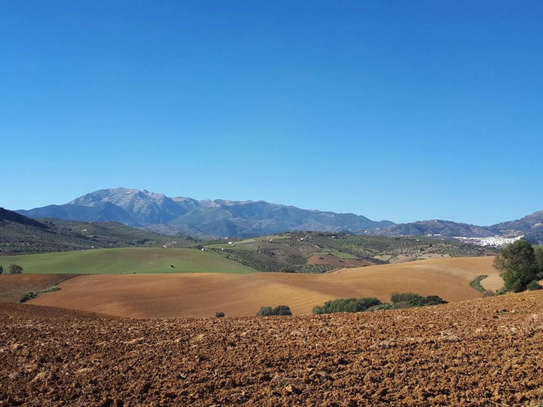 Land for sale in Coin, Malaga photo 5