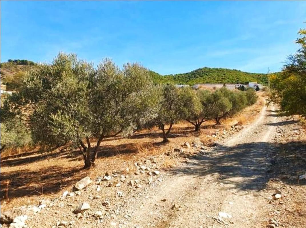 Terreno en venta en Carratraca, Malaga photo 3