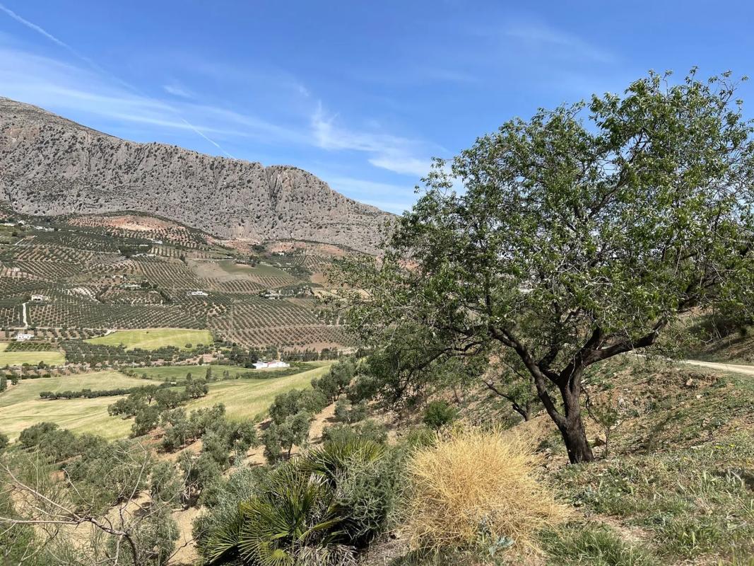 Terreno en venta en Valle de Abdalajís, Malaga photo 2