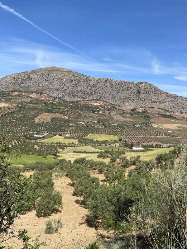 Terreno en venta en Valle de Abdalajís, Malaga photo 3