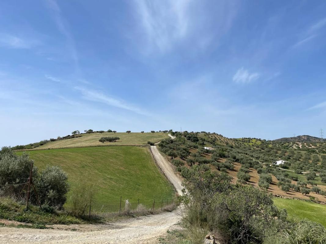 Terreno en venta en Valle de Abdalajís, Malaga photo 5